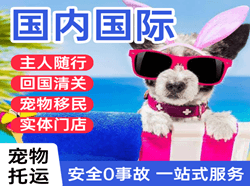 通化航空货运国际宠物托运 【国
